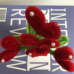 2 PCS * Handmade Pipe Cleaner Red Love Heart Green Leaves with Flowers Potted Plant Artificial Simulation Flowers Indoor Home Desktop Party Wedding Decor 2 PCS * Handmade Pipe Cleaner Red Love Heart Green Leaves with Flowers Potted Plant Artificial Simulation Flowers Indoor Home Desktop Party Wedding Decor