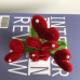 2 PCS * Handmade Pipe Cleaner Red Love Heart Green Leaves with Flowers Potted Plant Artificial Simulation Flowers Indoor Home Desktop Party Wedding Decor 2 PCS * Handmade Pipe Cleaner Red Love Heart Green Leaves with Flowers Potted Plant Artificial Simulation Flowers Indoor Home Desktop Party Wedding Decor
