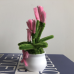 2 PCS * Handmade Pipe Cleaner Pink Love Heart Green Leaves with Flowers Potted Plant Artificial Simulation Flowers Indoor Home Desktop Party Wedding Decor 