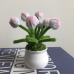 2 PCS * Handmade Pipe Cleaner White & Pink Flower Buds Green Leaves with Flowers Potted Plant Artificial Simulation Flowers Indoor Home Desktop Party Wedding Decor 