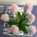 2 PCS * Handmade Pipe Cleaner White & Pink Flower Buds Green Leaves with Flowers Potted Plant Artificial Simulation Flowers Indoor Home Desktop Party Wedding Decor 