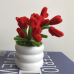 Handmade Pipe Cleaner Red Love Hearts Green Leaves with Flowers Potted Plant Artificial Simulation Flowers Indoor Home Desktop Party Wedding Decor Handmade Pipe Cleaner Red Love Hearts Green Leaves with Flowers Potted Plant Artificial Simulation Flowers Indoor Home Desktop Party Wedding Decor