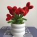 Handmade Pipe Cleaner Red Love Hearts Green Leaves with Flowers Potted Plant Artificial Simulation Flowers Indoor Home Desktop Party Wedding Decor Handmade Pipe Cleaner Red Love Hearts Green Leaves with Flowers Potted Plant Artificial Simulation Flowers Indoor Home Desktop Party Wedding Decor