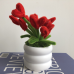 Handmade Pipe Cleaner Red Love Hearts Green Leaves with Flowers Potted Plant Artificial Simulation Flowers Indoor Home Desktop Party Wedding Decor Handmade Pipe Cleaner Red Love Hearts Green Leaves with Flowers Potted Plant Artificial Simulation Flowers Indoor Home Desktop Party Wedding Decor