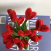 Handmade Pipe Cleaner Red Love Hearts Green Leaves with Flowers Potted Plant Artificial Simulation Flowers Indoor Home Desktop Party Wedding Decor Handmade Pipe Cleaner Red Love Hearts Green Leaves with Flowers Potted Plant Artificial Simulation Flowers Indoor Home Desktop Party Wedding Decor