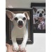 Head & Paws Pet Portraits Handmade 3D Cat Wool Needle Felt Portraits with Wooden Frame | PetsMatter