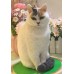 Pet Portraits Full Body | PetsMatter Handmade 3D Wool Needle Felt Pet Portraits Full Body | PetsMatter Pet Portraits Full Body | PetsMatter Handmade 3D Wool Needle Felt Pet Portraits Full Body | PetsMatter