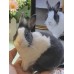 Pet Portraits Full Body | PetsMatter Handmade 3D Wool Needle Felt Pet Portraits Full Body | PetsMatter Pet Portraits Full Body | PetsMatter Handmade 3D Wool Needle Felt Pet Portraits Full Body | PetsMatter