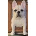 Head & Paws Pet Portraits Handmade 3D Cat Wool Needle Felt Portraits with Wooden Frame | PetsMatter