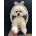 Head & Paws Pet Portraits Handmade 3D Cat Wool Needle Felt Portraits with Wooden Frame | PetsMatter