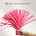 AK-05 Peach Pink Pipe Cleaners Chenille Stems Fuzzy Stick Twisting Stick DIY Art Craft Supplies Bending Wires for Kids School Education Adults Floral Arrangement