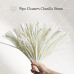 AK-15 Off-white Pipe Cleaners Chenille Stems Fuzzy Stick Twisting Stick DIY Art Craft Supplies Bending Wires for Kids School Education Adults Floral Arrangement