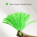 AK-33 Fluorescent Green Pipe Cleaners Chenille Stems Fuzzy Stick Twisting Stick DIY Art Craft Supplies Bending Wires for Kids School Education Adults Floral Arrangement