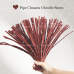 AK-42 Dark Brown Pipe Cleaners Chenille Stems Fuzzy Stick Twisting Stick DIY Art Craft Supplies Bending Wires for Kids School Education Adults Floral Arrangement