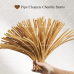 AK-44 Light Brown Pipe Cleaners Chenille Stems Fuzzy Stick Twisting Stick DIY Art Craft Supplies Bending Wires for Kids School Education Adults Floral Arrangement