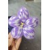6 lots colorful Chenille Stems and everthing else for Jazzziexo