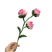 Exactly Same Rose Making Kits As Tiktok Live Streaming Fuzzy Pipe Cleaner Chenille Stems DIY Craft Supplies 
