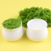 10 PCS * White Small Plant Pots, Plastic Planters for Flowers Plants, Succulents, Seed Starting Pots,Handmade Pipe Cleaner Potted Plant 10 PCS * White Small Plant Pots, Plastic Planters for Flowers Plants, Succulents, Seed Starting Pots,Handmade Pipe Cleaner Potted Plant