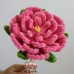 6 PCS * Handmade Pipe Cleaner Peony Flower Green Leaves Artificial Simulation Flower Indoor Home Desktop Party Wedding Decor