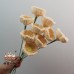 10 PCS * Handmade Pipe Cleaner Helloborus Artificial Simulation Flower Indoor Home Desktop Party Wedding Decor 10 PCS * Handmade Pipe Cleaner Helloborus Artificial Simulation Flower Indoor Home Desktop Party Wedding Decor