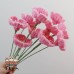 10 PCS * Handmade Pipe Cleaner Helloborus Artificial Simulation Flower Indoor Home Desktop Party Wedding Decor 10 PCS * Handmade Pipe Cleaner Helloborus Artificial Simulation Flower Indoor Home Desktop Party Wedding Decor