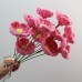 10 PCS * Handmade Pipe Cleaner Helloborus Artificial Simulation Flower Indoor Home Desktop Party Wedding Decor 10 PCS * Handmade Pipe Cleaner Helloborus Artificial Simulation Flower Indoor Home Desktop Party Wedding Decor