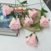 20 PCS * Handmade Pipe Cleaner Rose Flower Green Leaves Artificial Simulation Flower Indoor Home Desktop Party Wedding Decor 20 PCS * Handmade Pipe Cleaner Rose Flower Green Leaves Artificial Simulation Flower Indoor Home Desktop Party Wedding Decor