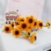 30 PCS * Handmade Pipe Cleaner Golden 6 Daisy Flowers Artificial Simulation Flower Indoor Home Desktop Party Wedding Decor 30 PCS * Handmade Pipe Cleaner Golden 6 Daisy Flowers Artificial Simulation Flower Indoor Home Desktop Party Wedding Decor