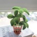 30 PCS * Pipe Cleaner Chenille Stems Handmade Money Tree Potted Plant Making Kit DIY Art Flower Bouquet Craft Set
