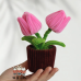 2PCS * Handmade Pipe Cleaner Golden Tulip Flowers Green Leaves Potted Plant Artificial Simulation Flowers Indoor Home Desktop Party Wedding Decor 2PCS * Handmade Pipe Cleaner Golden Tulip Flowers Green Leaves Potted Plant Artificial Simulation Flowers Indoor Home Desktop Party Wedding Decor
