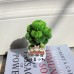 4 PCS * Handmade Pipe Cleaner Green Money Tree Artificial Simulation Flowers Indoor Home Desktop Party Wedding Decor 4 PCS * Handmade Pipe Cleaner Green Money Tree Artificial Simulation Flowers Indoor Home Desktop Party Wedding Decor