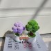 4 PCS * Handmade Pipe Cleaner Green Money Tree Artificial Simulation Flowers Indoor Home Desktop Party Wedding Decor 4 PCS * Handmade Pipe Cleaner Green Money Tree Artificial Simulation Flowers Indoor Home Desktop Party Wedding Decor