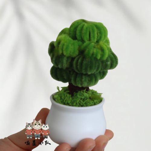 4 PCS * Handmade Pipe Cleaner Green Money Tree Artificial Simulation Flowers Indoor Home Desktop Party Wedding Decor 4 PCS * Handmade Pipe Cleaner Green Money Tree Artificial Simulation Flowers Indoor Home Desktop Party Wedding Decor
