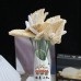 30 PCS * Handmade Pipe Cleaner Anthurium Flower Artificial Simulation Flower Indoor Home Desktop Party Wedding Decor