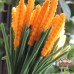 30 PCS * Pipe Cleaner Chenille Stems Handmade Wheat Making Kit DIY Art Flower Bouquet Craft Set