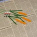 150 PCS * Handmade Pipe Cleaner Ear of Wheat Green Leaves Artificial Simulation Flower Indoor Home Desktop Party Wedding Decor 150 PCS * Handmade Pipe Cleaner Ear of Wheat Green Leaves Artificial Simulation Flower Indoor Home Desktop Party Wedding Decor