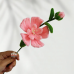 5 PCS * Handmade Pipe Cleaner Camellia Flower Green Leaves Artificial Simulation Flower Indoor Home Desktop Party Wedding Decor 5 PCS * Handmade Pipe Cleaner Camellia Flower Green Leaves Artificial Simulation Flower Indoor Home Desktop Party Wedding Decor