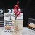 100 PCS * Pipe Cleaner Chenille Stems Plum Blossom Making Kit DIY Art Flower Bouquet Craft Set