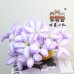 12 PCS * Handmade Pipe Cleaner Bicolor Lily Flower Artificial Simulation Flower Indoor Home Desktop Party Wedding Decor 12 PCS * Handmade Pipe Cleaner Bicolor Lily Flower Artificial Simulation Flower Indoor Home Desktop Party Wedding Decor
