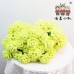 15 PCS * Handmade Pipe Cleaner Carnation Flower Green Leaves Artificial Simulation Flower Indoor Home Desktop Party Wedding Decor 15 PCS * Handmade Pipe Cleaner Carnation Flower Green Leaves Artificial Simulation Flower Indoor Home Desktop Party Wedding Decor