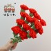 15 PCS * Handmade Pipe Cleaner Carnation Flower Green Leaves Artificial Simulation Flower Indoor Home Desktop Party Wedding Decor 15 PCS * Handmade Pipe Cleaner Carnation Flower Green Leaves Artificial Simulation Flower Indoor Home Desktop Party Wedding Decor
