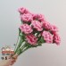 15 PCS * Handmade Pipe Cleaner Carnation Flower Green Leaves Artificial Simulation Flower Indoor Home Desktop Party Wedding Decor 15 PCS * Handmade Pipe Cleaner Carnation Flower Green Leaves Artificial Simulation Flower Indoor Home Desktop Party Wedding Decor