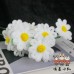 20PCS * Handmade Pipe Cleaner Daisy Green Leaves Artificial Simulation Flower Indoor Home Desktop Party Wedding Decor 20PCS * Handmade Pipe Cleaner Daisy Green Leaves Artificial Simulation Flower Indoor Home Desktop Party Wedding Decor