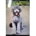 Pet Portraits Full Body | PetsMatter Handmade 3D Wool Needle Felt Pet Portraits Full Body | PetsMatter 8-10 inch Pet Portraits Full Body | PetsMatter Handmade 3D Wool Needle Felt Pet Portraits Full Body | PetsMatter 8-10 inch