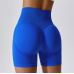 Blue Women Sports Shorts High Waist Yoga Shorts Slim Fit Butt Lift Gym Running High Elastic Biker Shorts