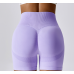 Purple Women Sports Shorts High Waist Yoga Shorts Slim Fit Butt Lift Gym Running High Elastic Biker Shorts